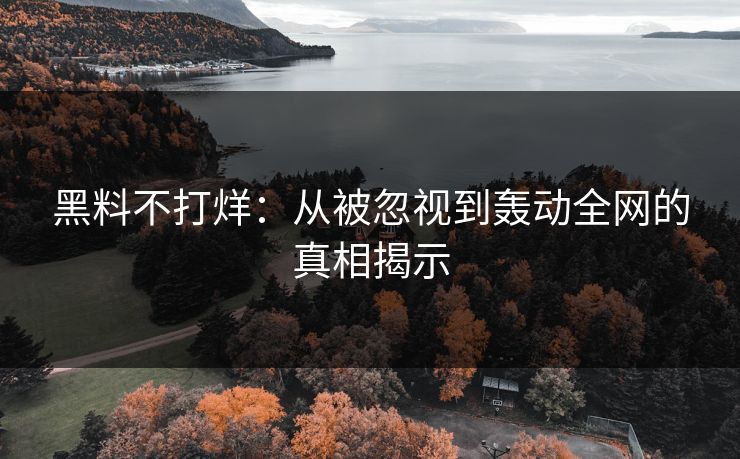 黑料不打烊：从被忽视到轰动全网的真相揭示
