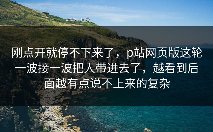 刚点开就停不下来了，p站网页版这轮一波接一波把人带进去了，越看到后面越有点说不上来的复杂