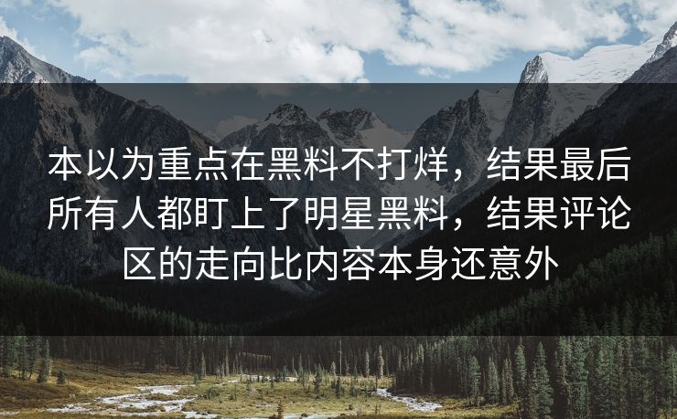 本以为重点在黑料不打烊，结果最后所有人都盯上了明星黑料，结果评论区的走向比内容本身还意外