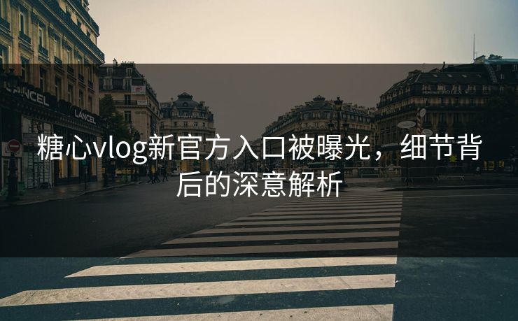 糖心vlog新官方入口被曝光，细节背后的深意解析