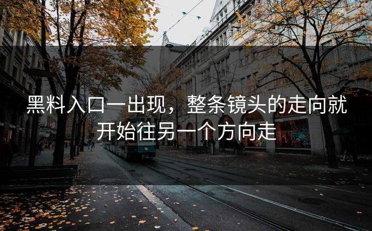 黑料入口一出现，整条镜头的走向就开始往另一个方向走