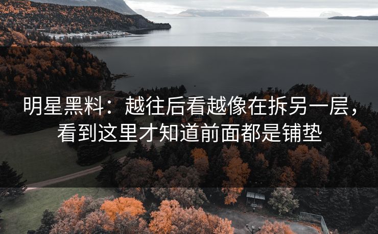 明星黑料：越往后看越像在拆另一层，看到这里才知道前面都是铺垫