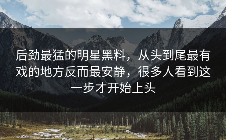 后劲最猛的明星黑料，从头到尾最有戏的地方反而最安静，很多人看到这一步才开始上头