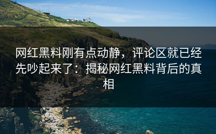 网红黑料刚有点动静，评论区就已经先吵起来了：揭秘网红黑料背后的真相
