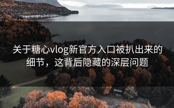 关于糖心vlog新官方入口被扒出来的细节,这背后隐藏的深层问题