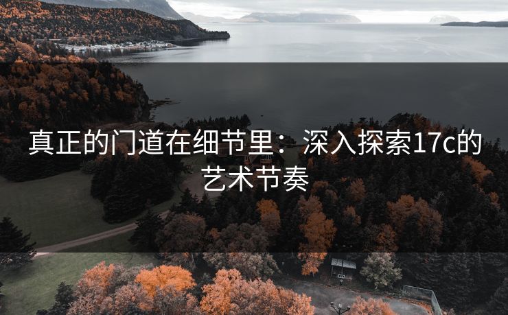 真正的门道在细节里:深入探索17c的艺术节奏