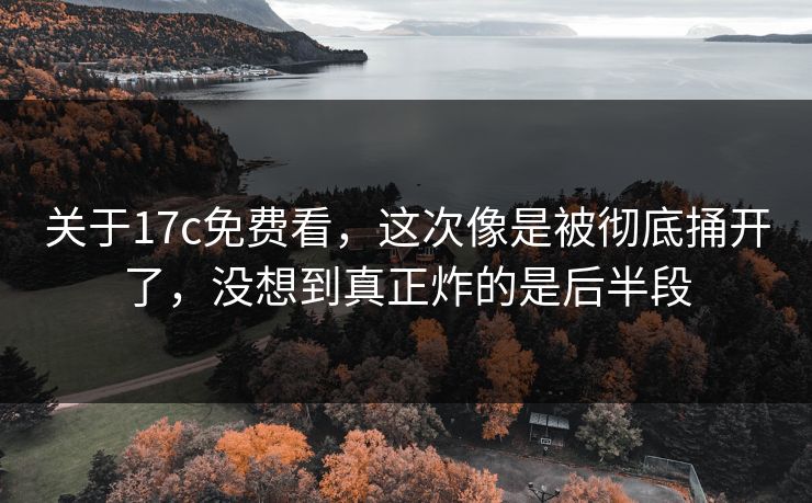 关于17c免费看，这次像是被彻底捅开了，没想到真正炸的是后半段